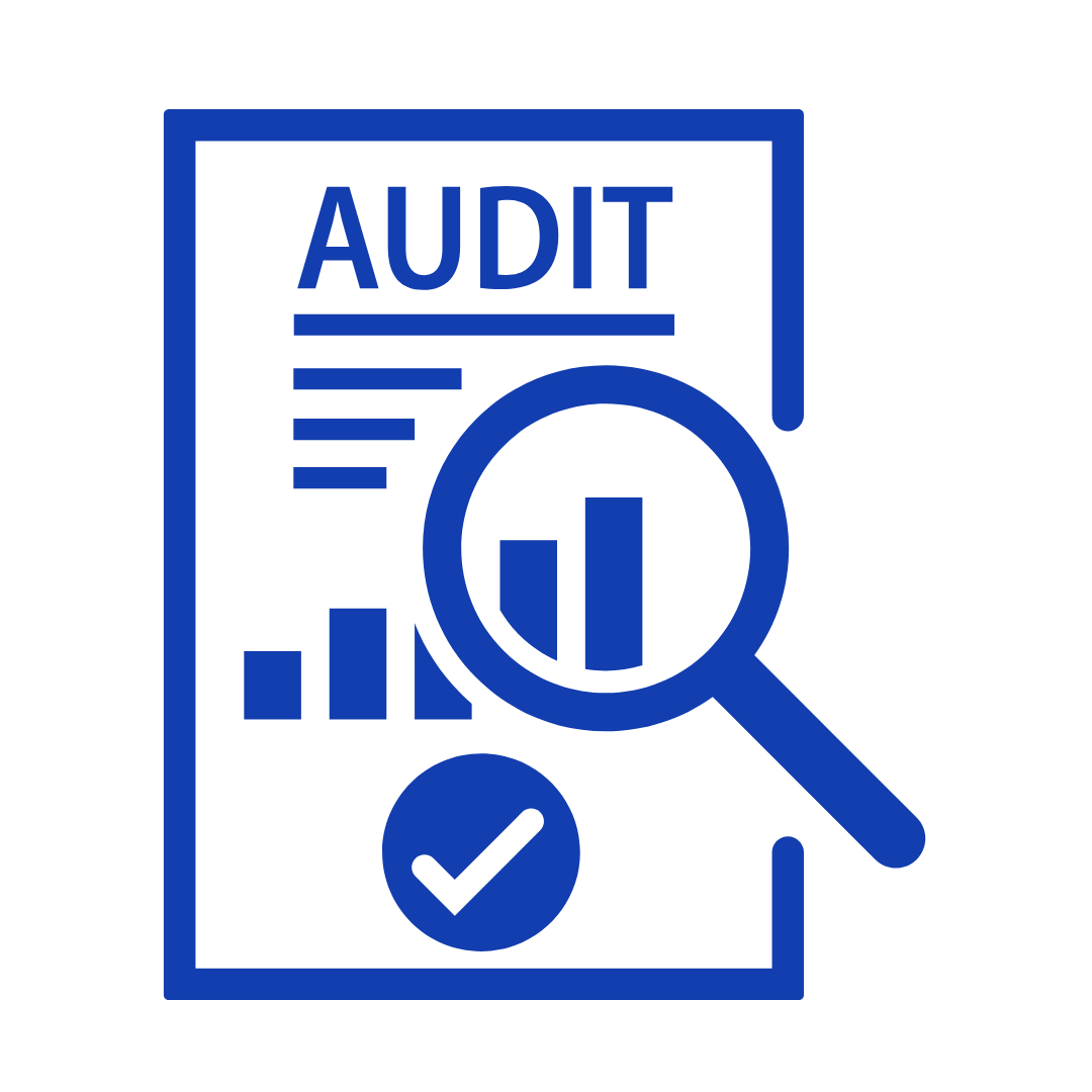 Cost Audit