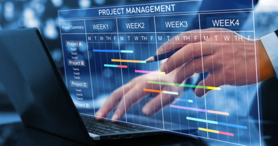 Professional Project Management